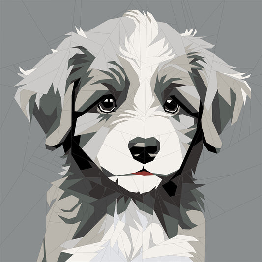 Aussie Doodle