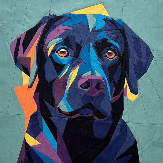 Black Labrador