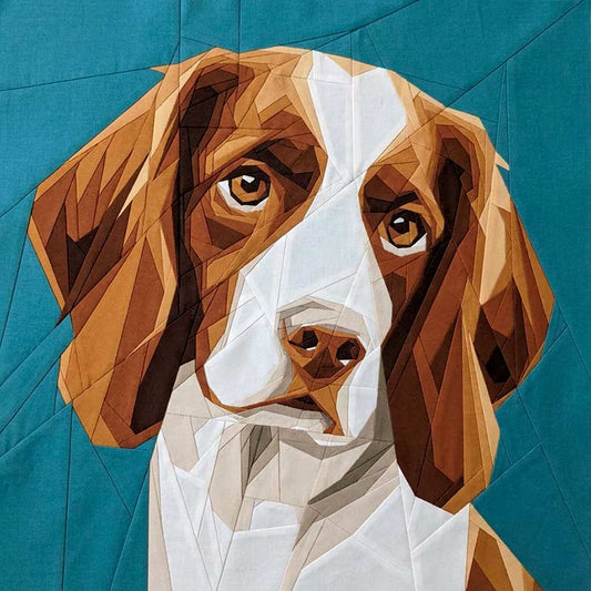 Brittany Spaniel