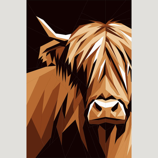 Highland Cow