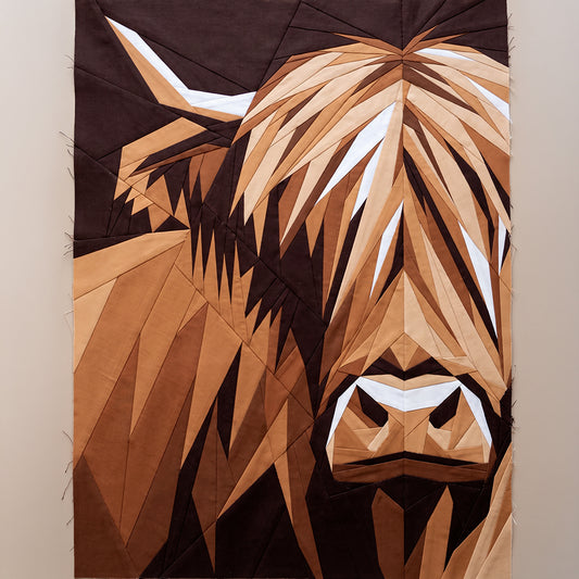 Highland Cow