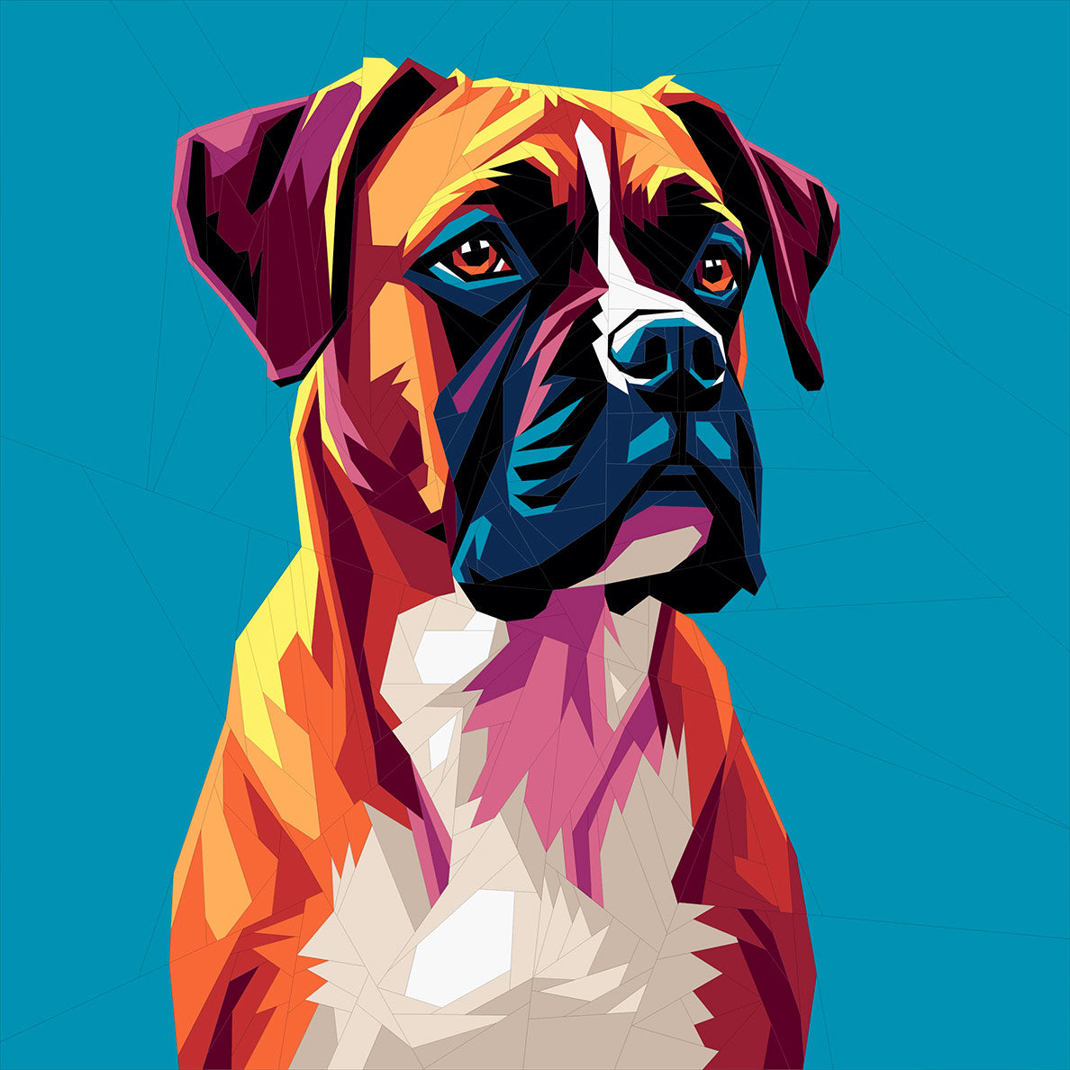 Boxer