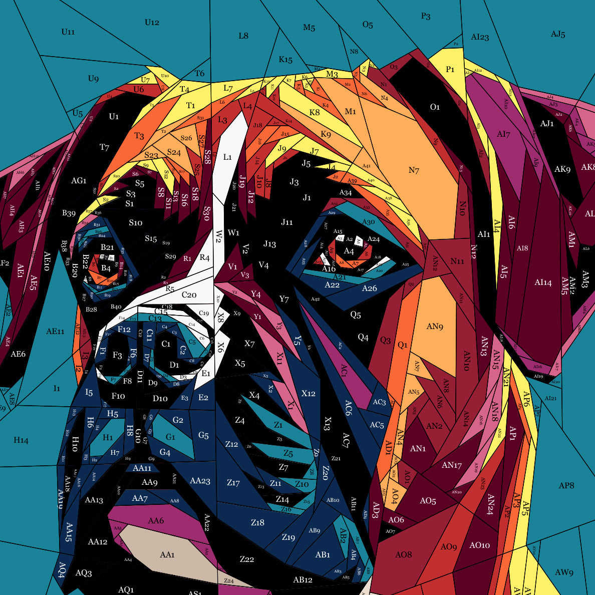 Boxer
