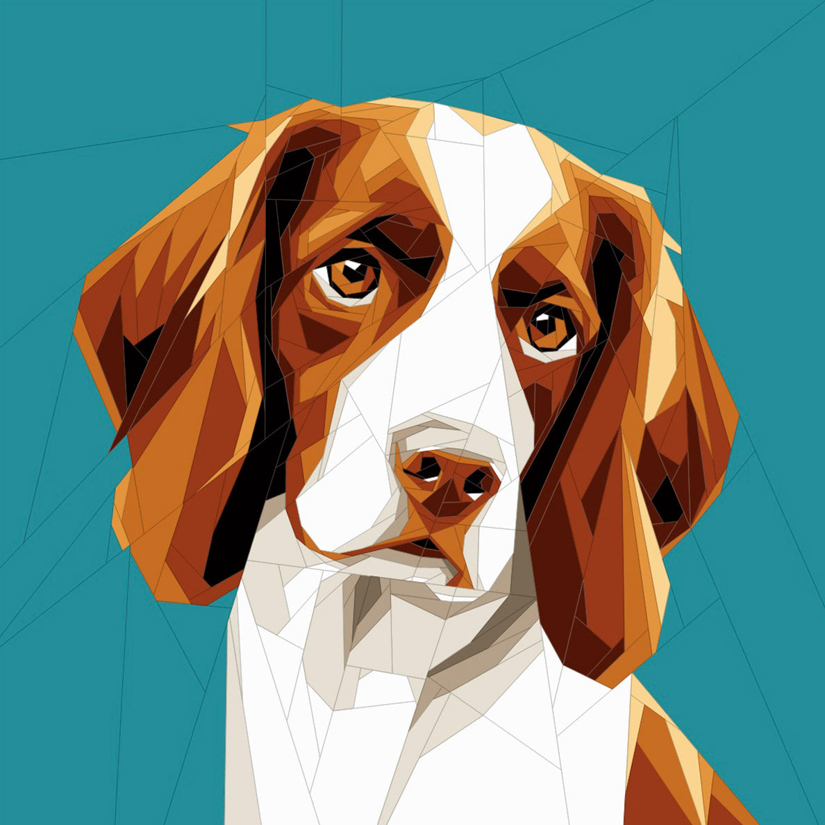 Brittany Spaniel