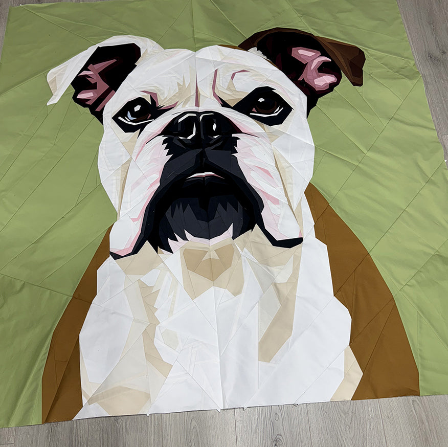 English Bulldog