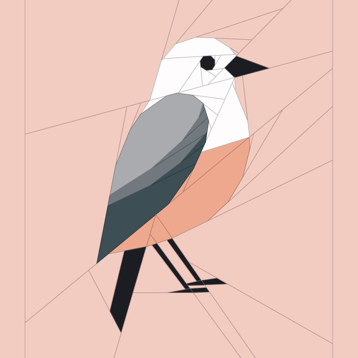 Minimal Bird