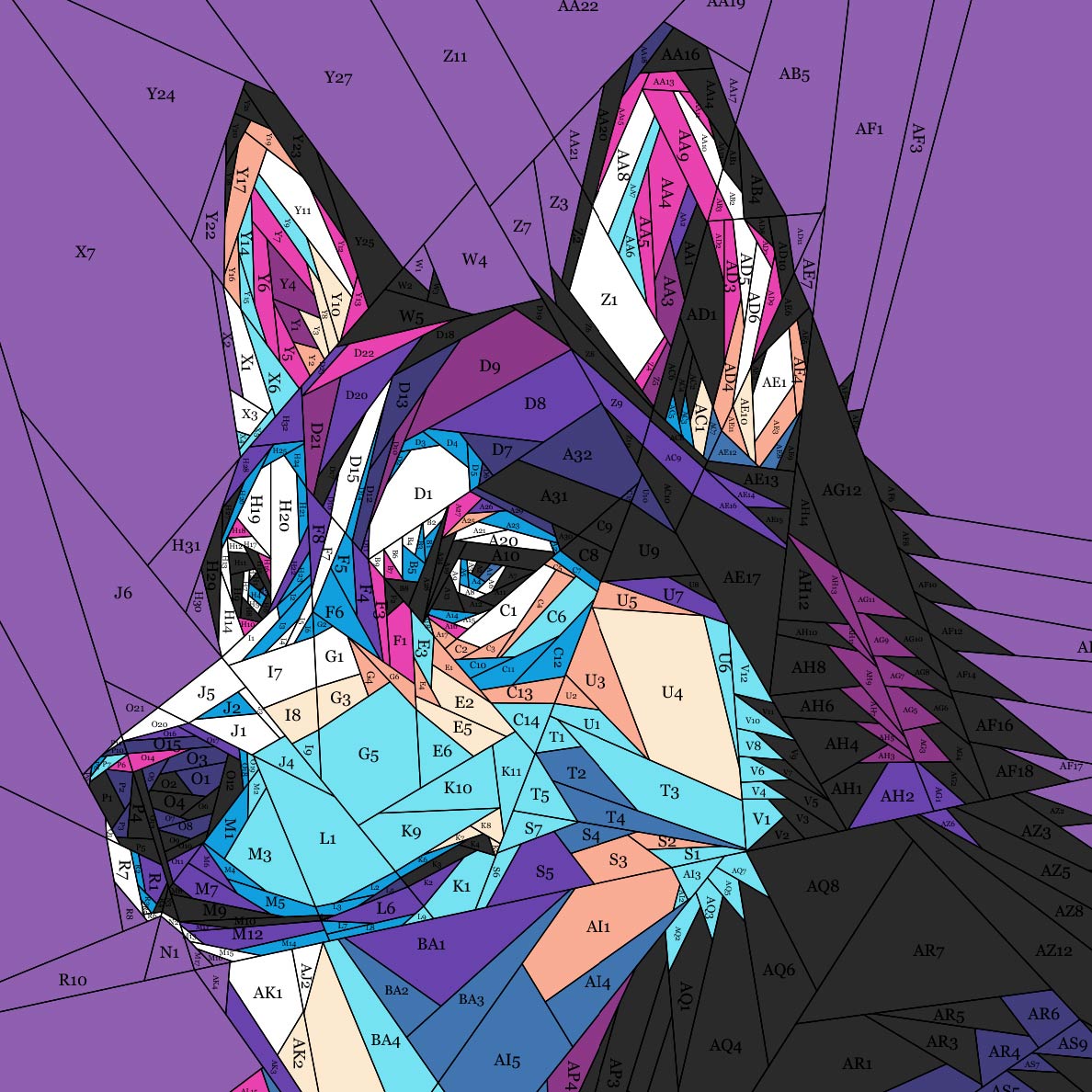 Siberian Husky
