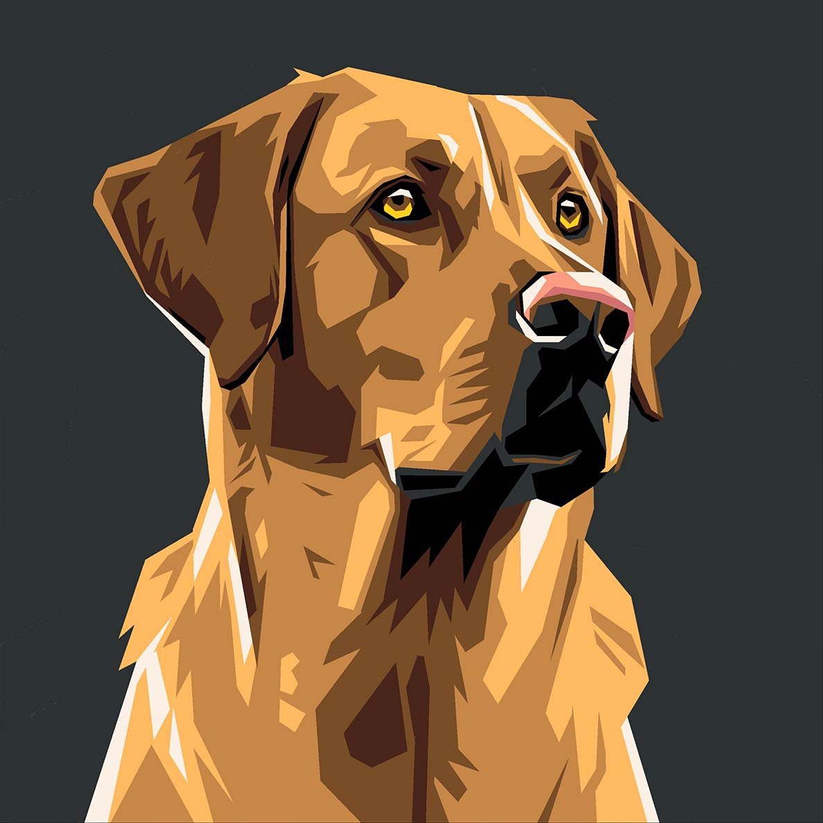 Labrador Retriever