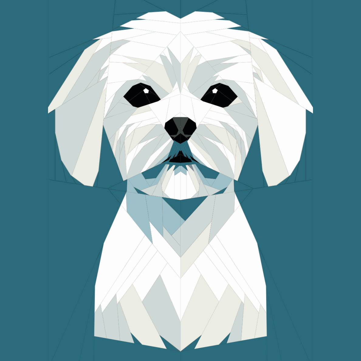 Maltese Dog