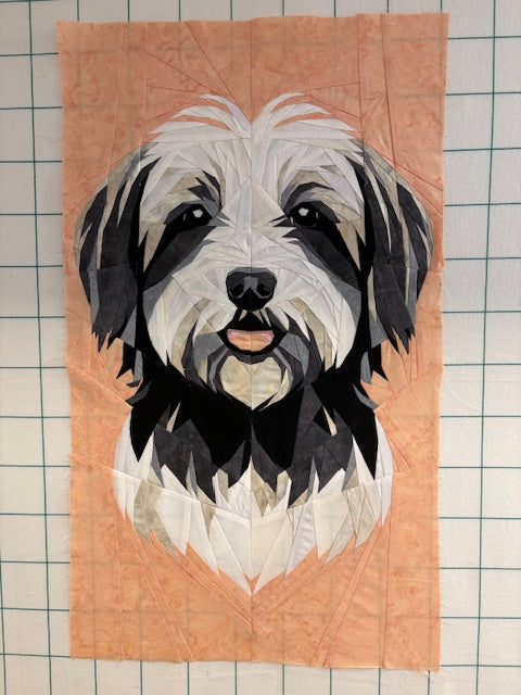 Pink Havanese