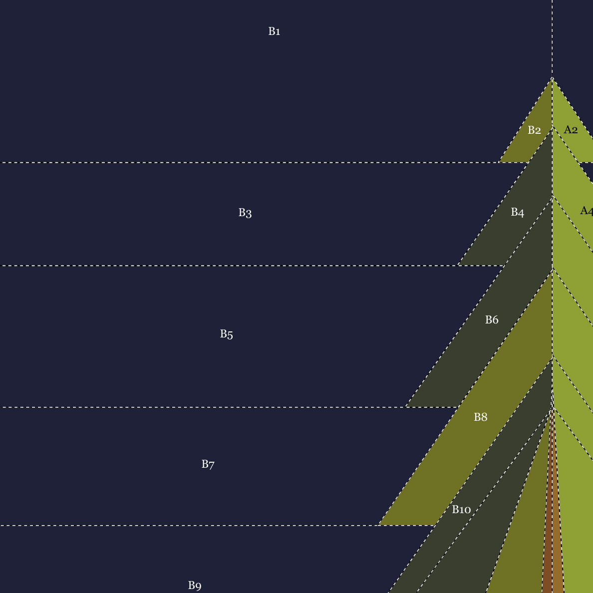 Forest Pine Tree