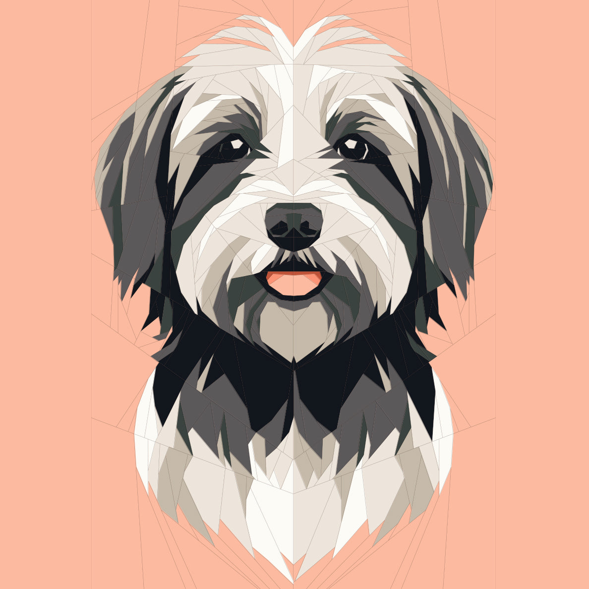 Pink Havanese Dog