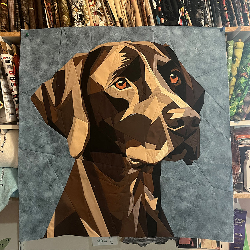 German Shorthaired Pointer