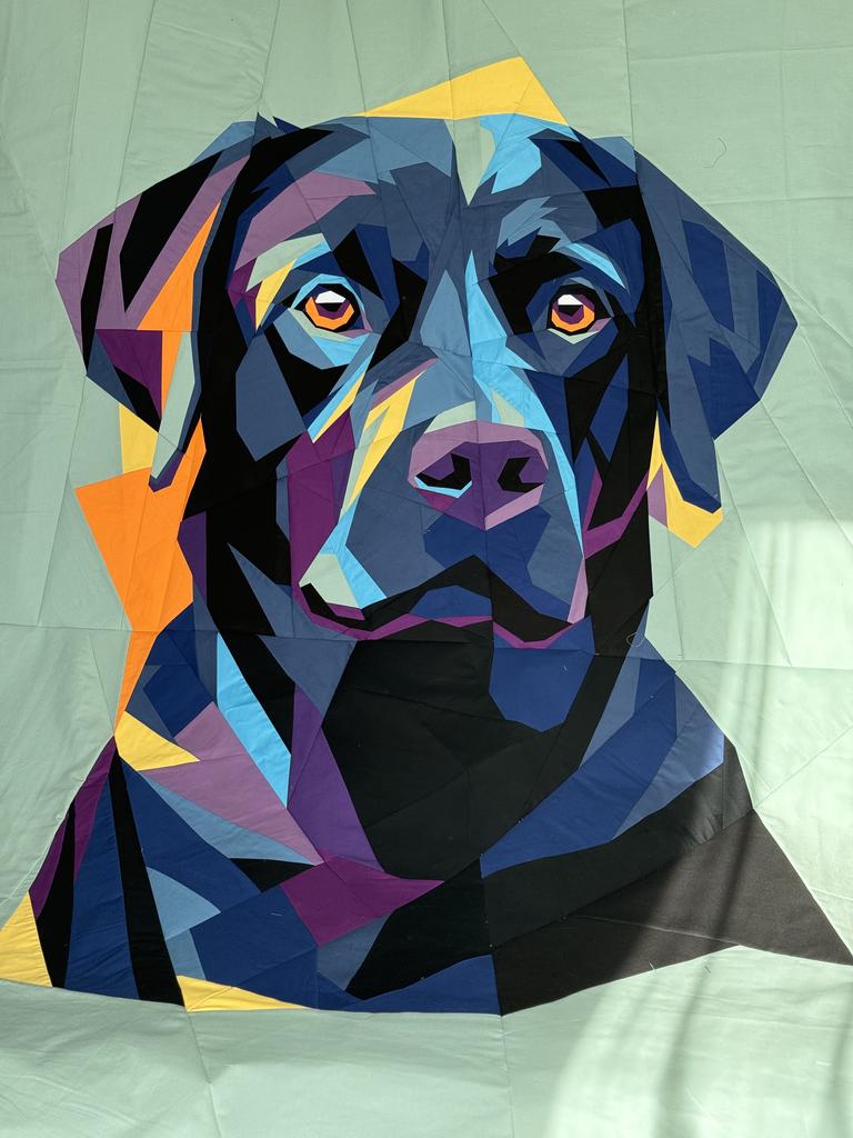 Black Labrador