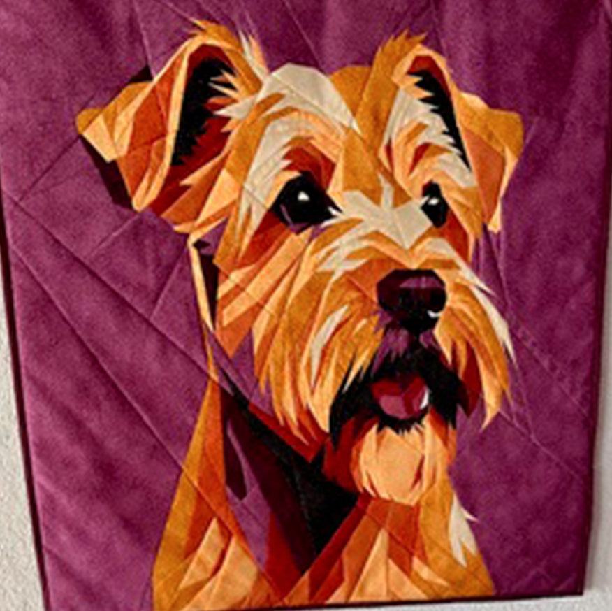 Soft Coated Terrier