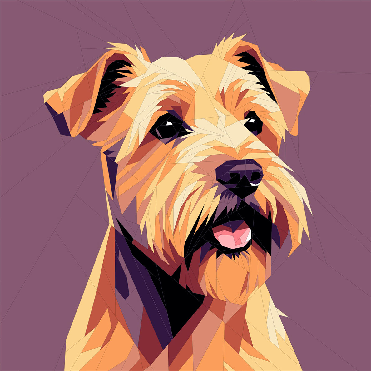 Soft Coated Terrier Dog