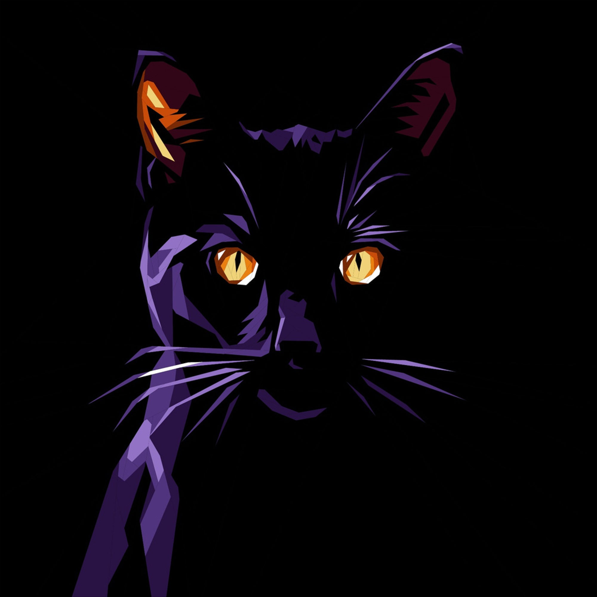 Velvet Cat