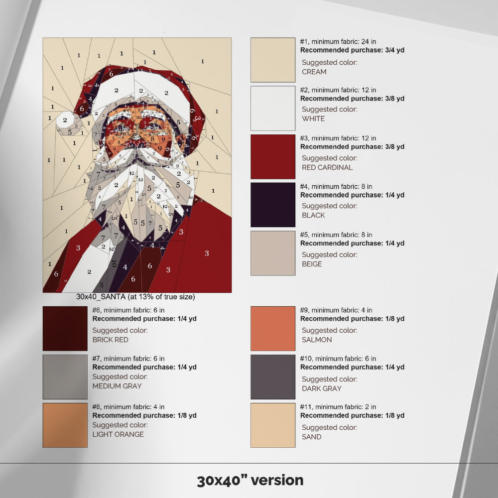 Xmas Santa Portrait
